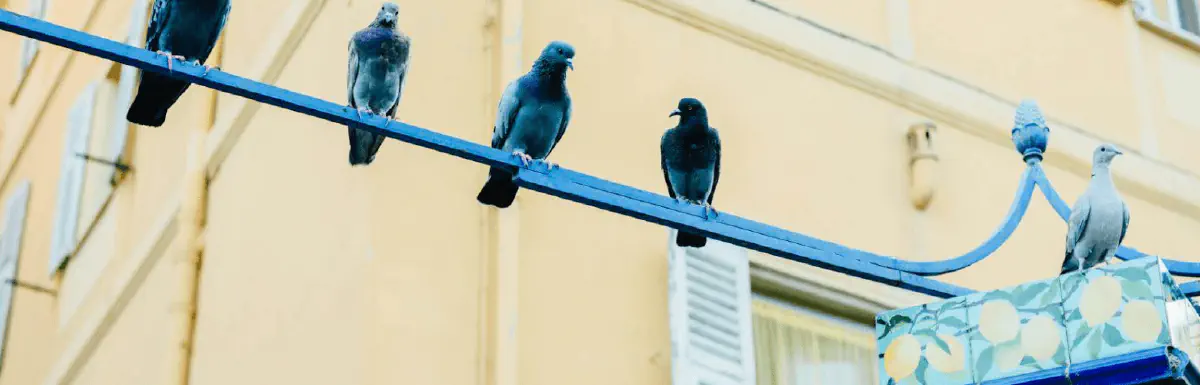 Ziyaretçiyi Müşteriye Dönüştürün: Shopify Ürün Sayfaları İçin 9 Kritik Strateji