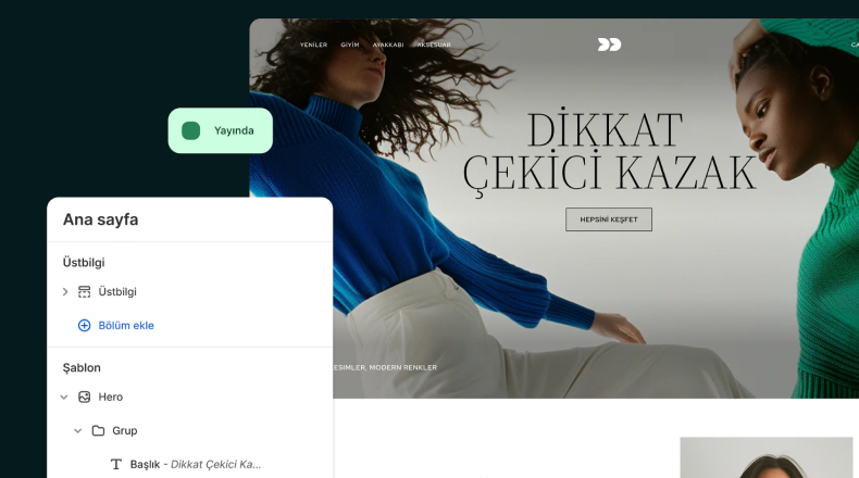 Shopify Geliştirme